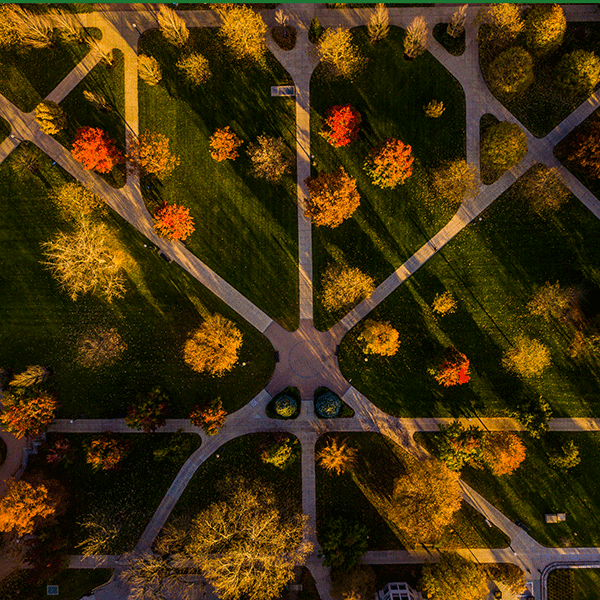 Aerial shot looking directly down on the Indiana State campus quad in autumn. Red, orange, green, and brown trees are visible in slanted sunlight and shadow. Walkways crisscross the green grass between the trees.